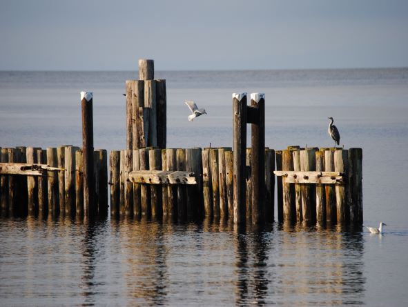 Wharf