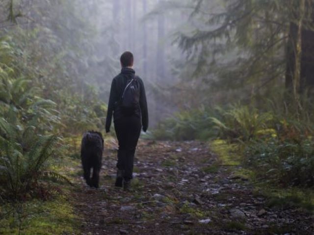 dog walk
