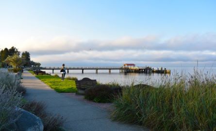 Davis Bay Pier