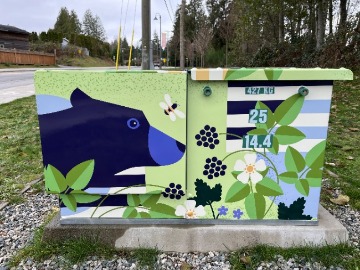 Utility Box Wrap