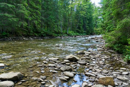Creek