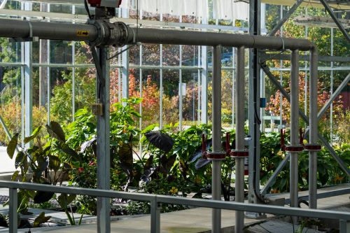 Water Resource Centre Greenhouse