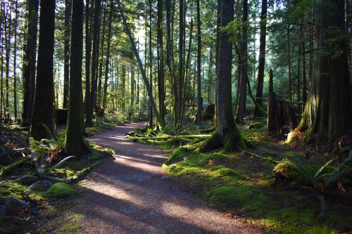 trail